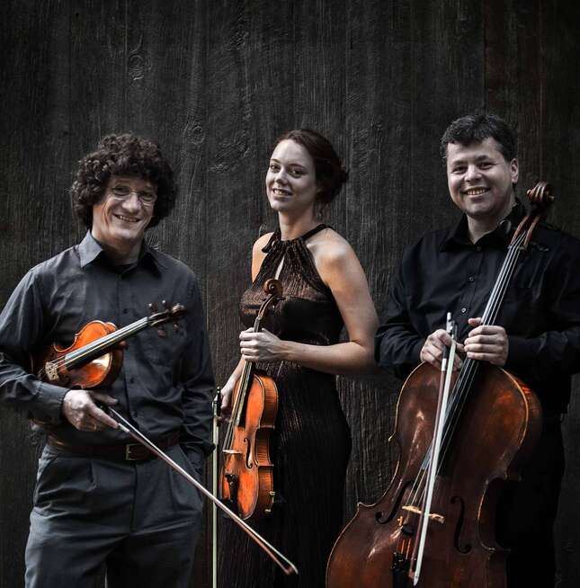 Burkhard Maiß | violin