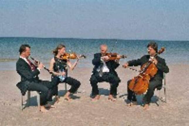Ensemble Più | chamber ensemble