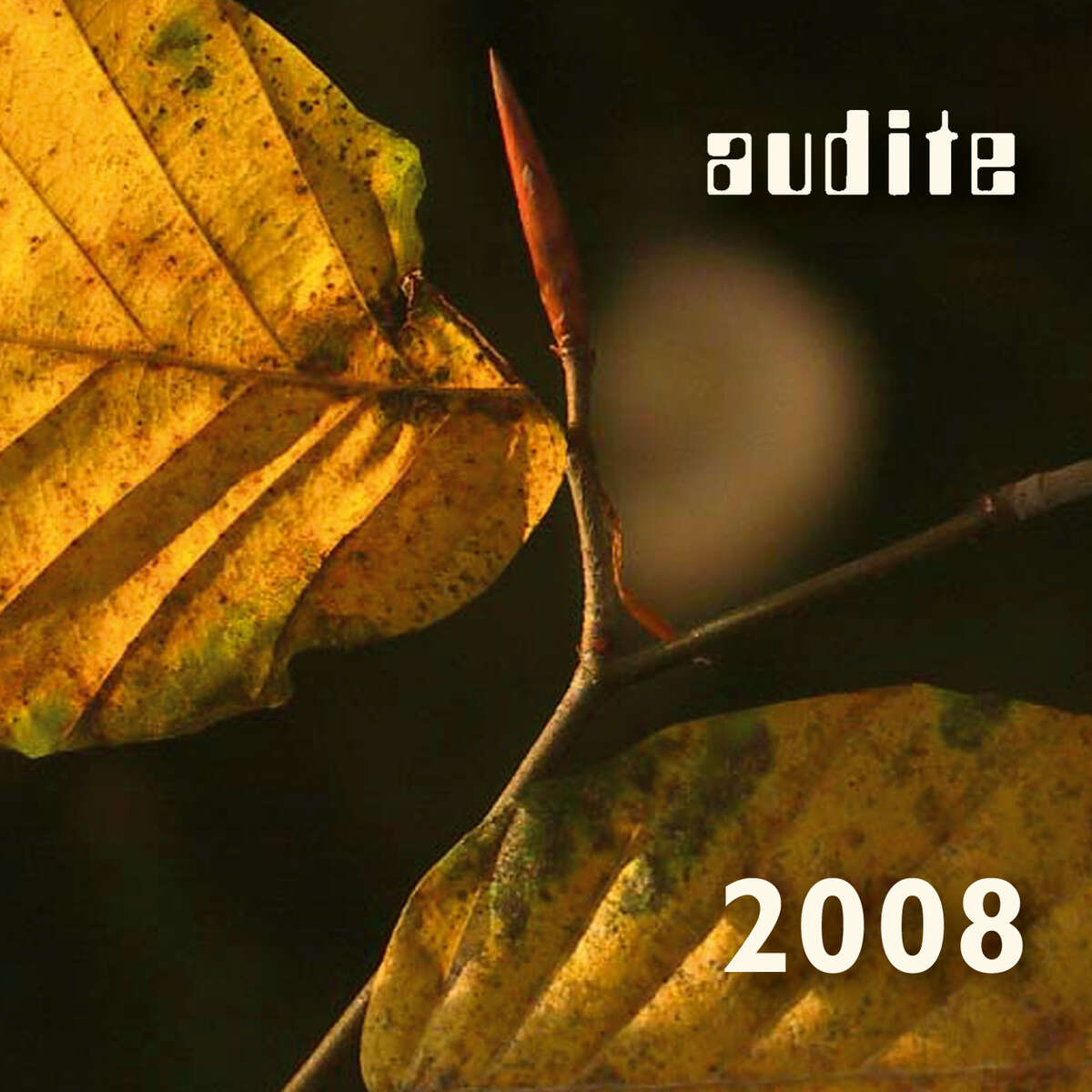 audite catalogue 2008 & CD - Tchaikovsky: Symphony 5 & Schumann: Piano Concerto