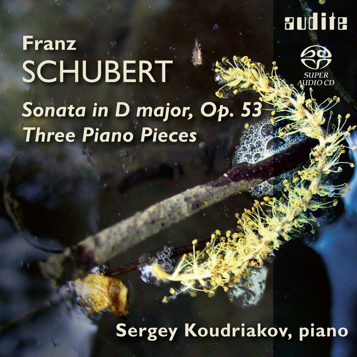 F. Schubert: Piano Sonata D 850 & Three Piano Pieces D 946