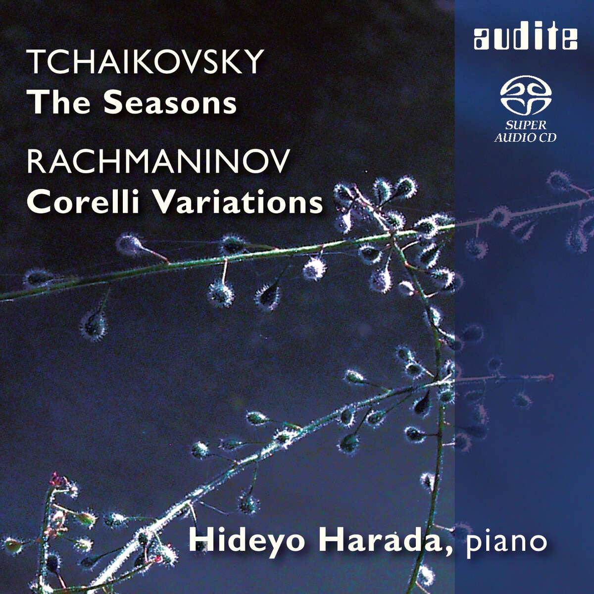 P. I. Tchaikovsky: The Seasons & S. Rachmaninov: Variations on a Theme of Corelli